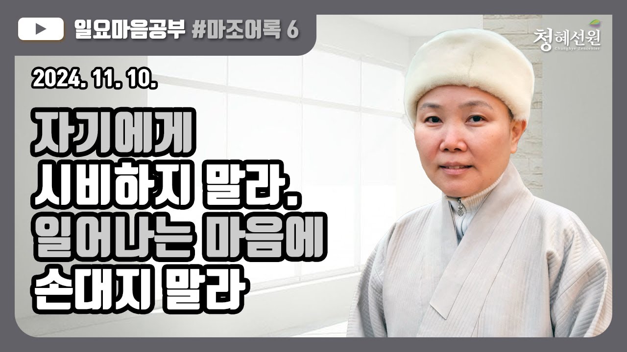 2024.11.10. [청혜선원] 일요공부ㅣ마조어록 제6회 “자기에게 시비하지 말라. 일어나는 마음에 손대지 말라.