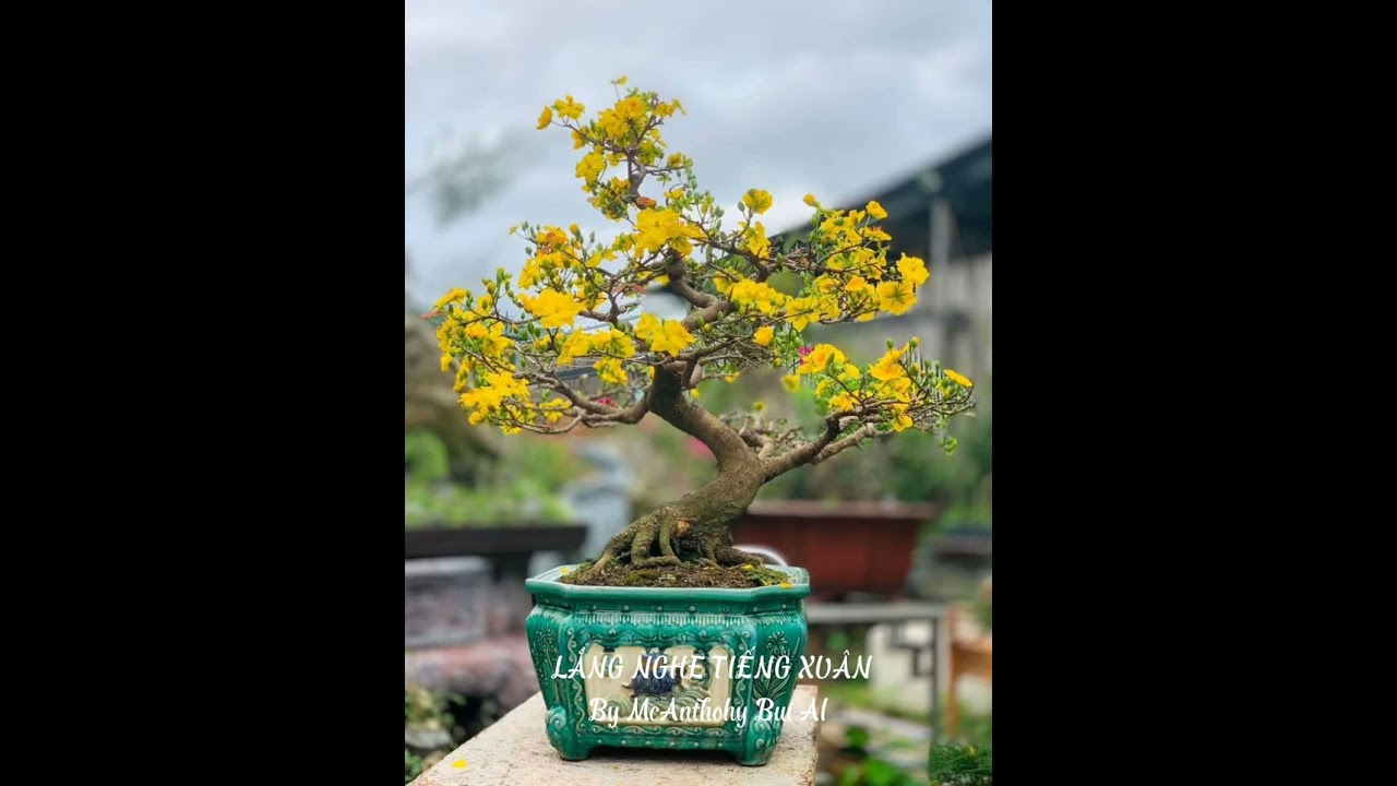 LẮNG NGHE TIẾNG XUÂN ( By McAnthohy Bui AI)