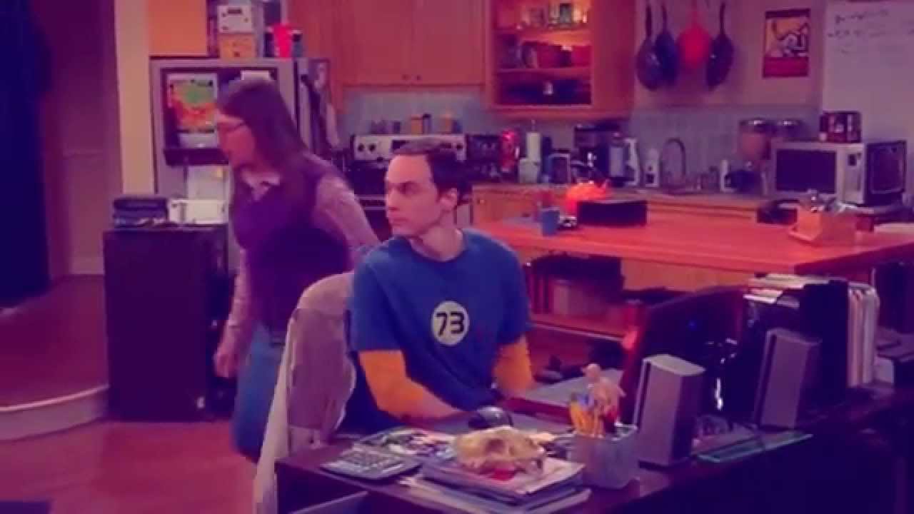 Sheldon and Amy on a break - The Scientist