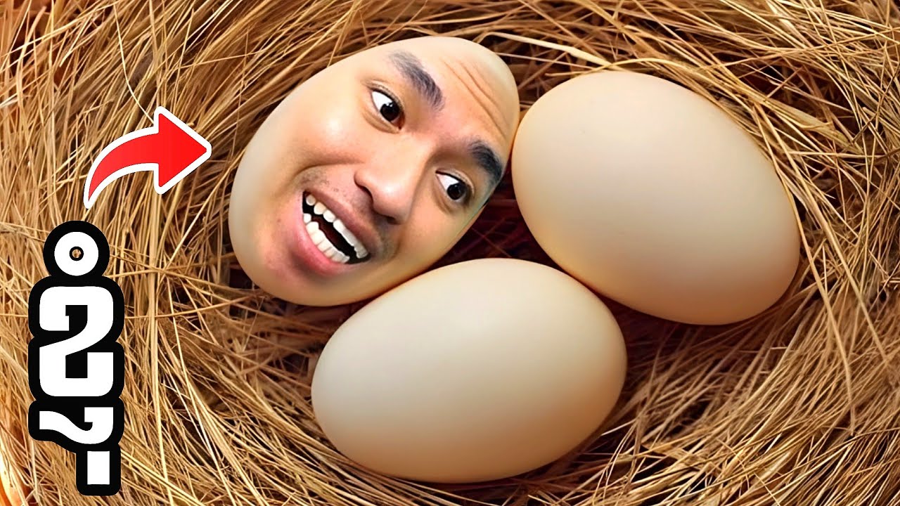 ខ្ញុំគឺជា ពងមាន់ វេទនា !!! 🤣