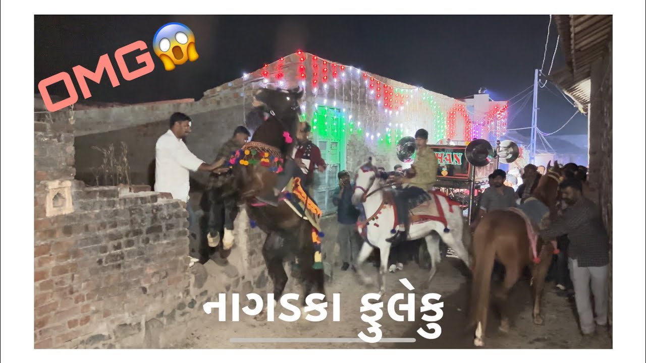 નાગડકા ફુલેકું (પાર્ટ-૨)