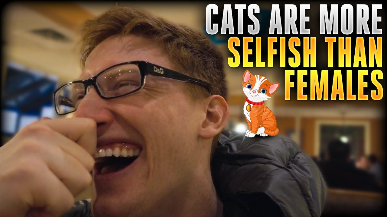 Cats Are More Selfish Than Females