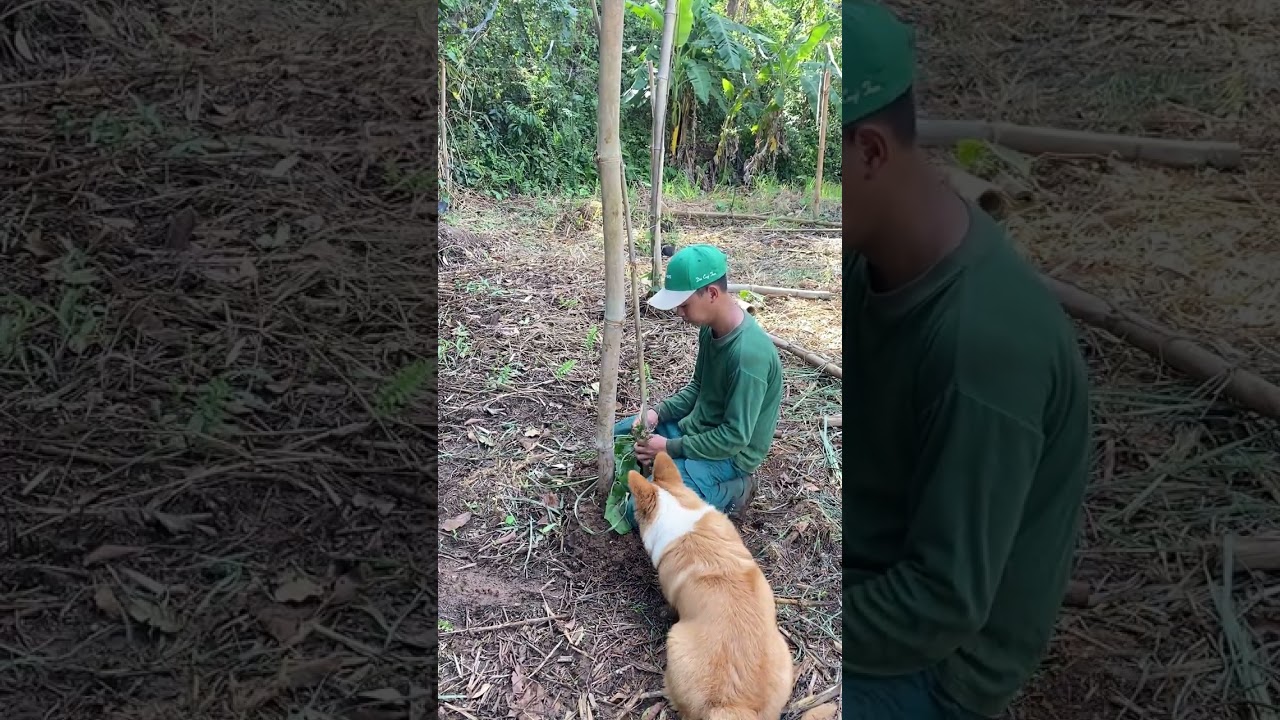Hành trình làm view suối cùng Đen