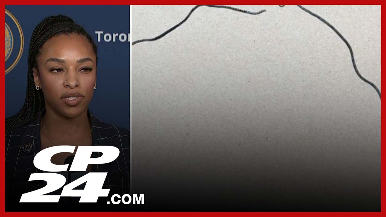 TPS provides update on dismembered human remains found on Toronto beach