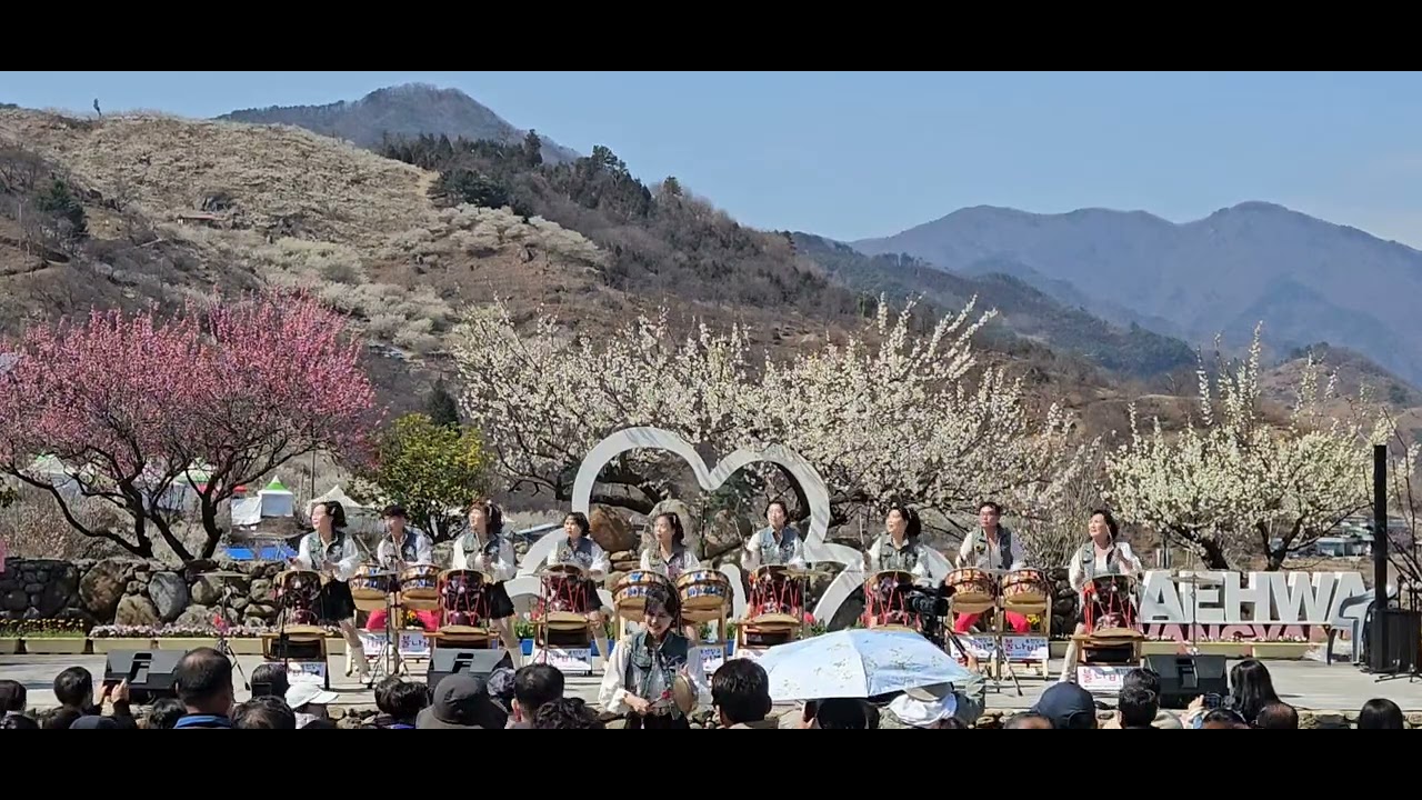광양불나비퓨전장구 아리랑믹스 매화축제