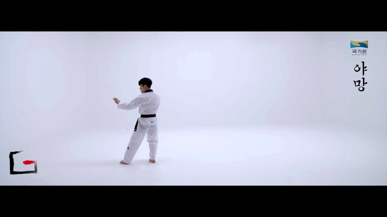New Kukkiwon Taekwondo Competition Poomsae #2 Yamang 국기원 품새 야망 (age under 18)