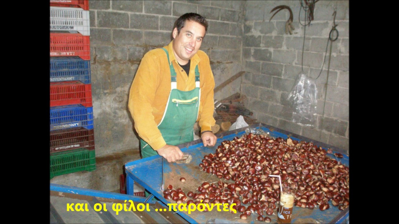 ΚΑΣΤΑΝΑ ΟΛΥΜΠΟΥ (olympusnuts.gr)