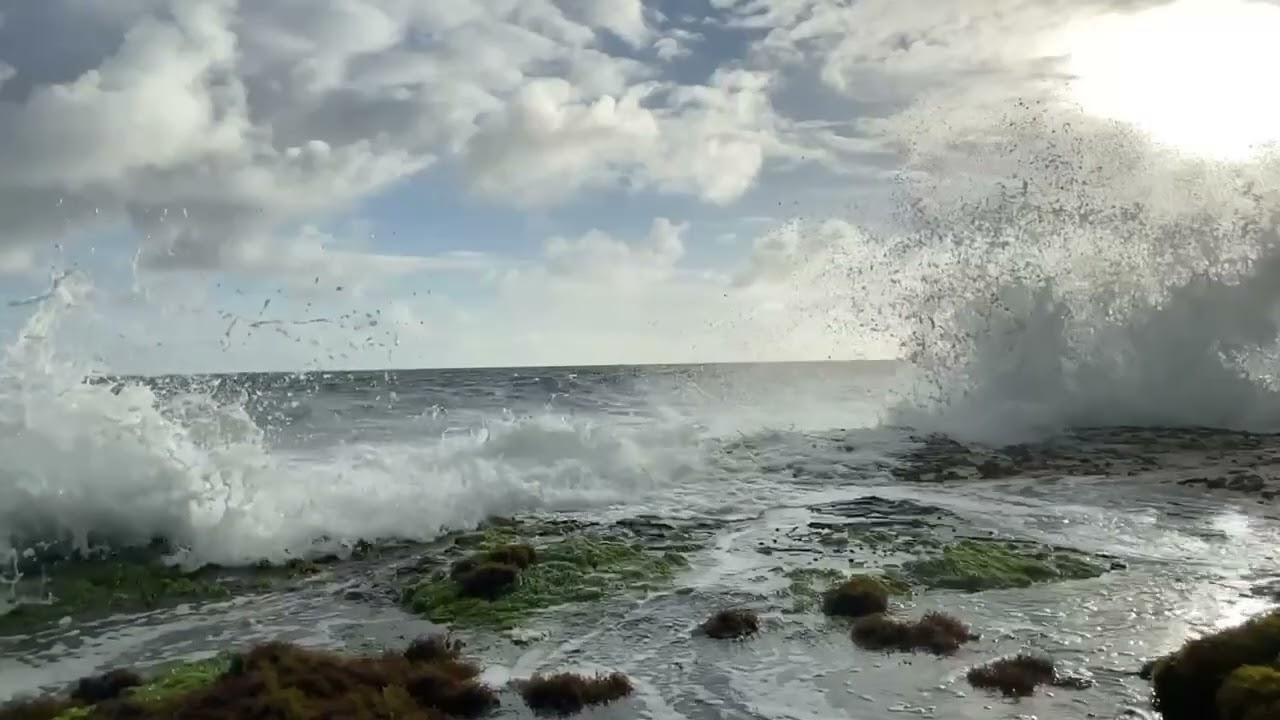 Hawaiian Paradise Park Sunrise. Slow Motion.