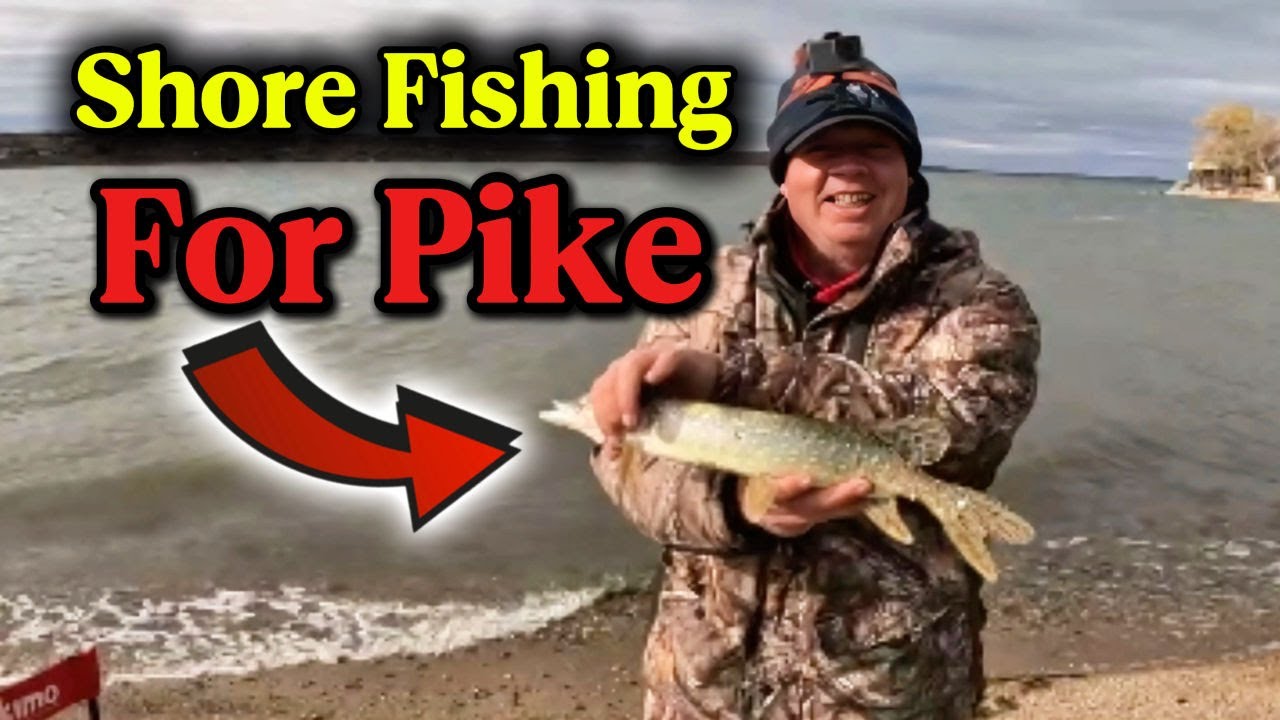 Fall Shore Fishing on Last Mountain Lake