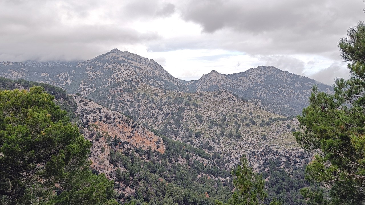 Wandern Mallorca - (2025) Überschreitung des Puig de sa Creu von Caimari