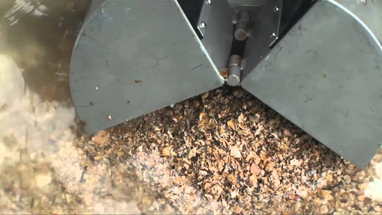 Life Between Grains