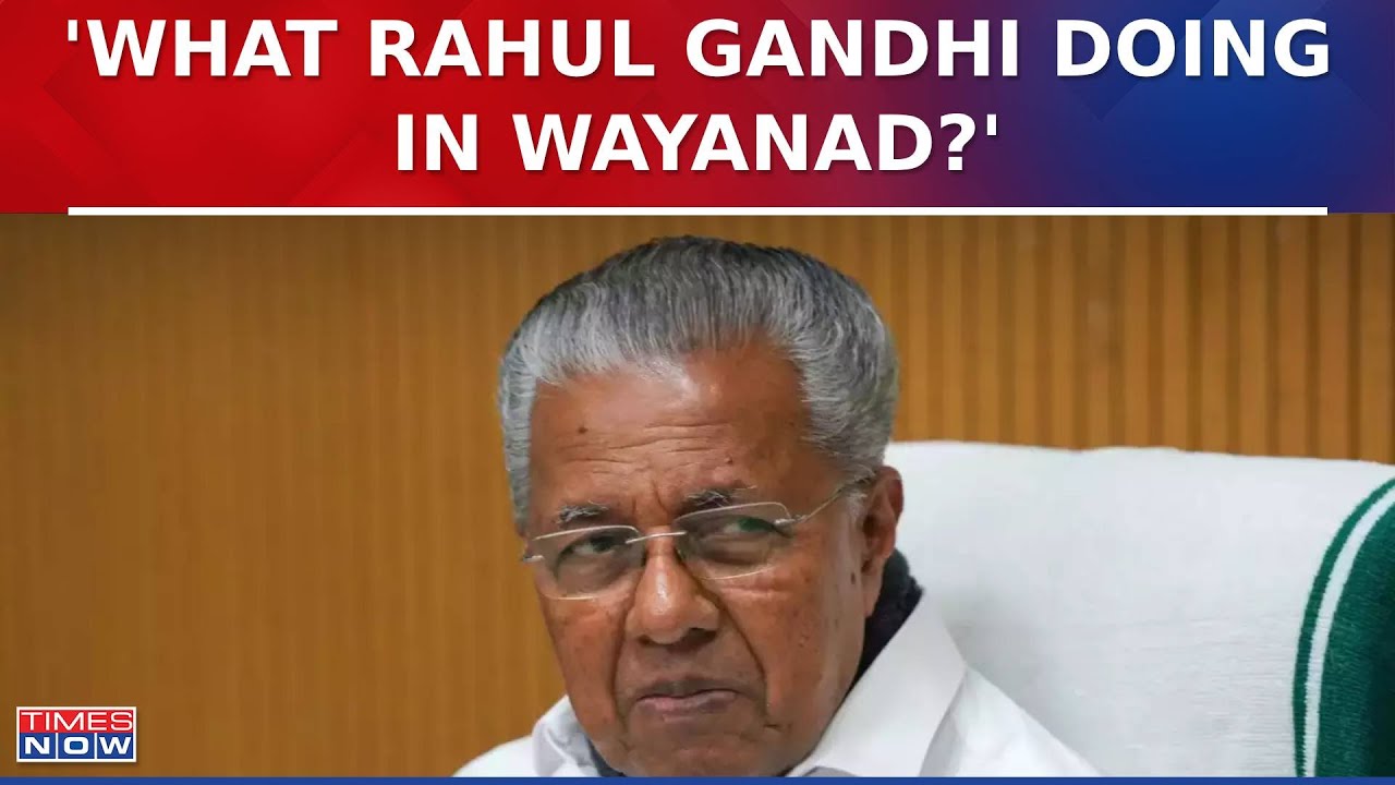 Lok Sabha Election 2024: Kerala CM Pinarayi Vijayan Asks, What Rahul Gandhi Is Doing In Wayanad?