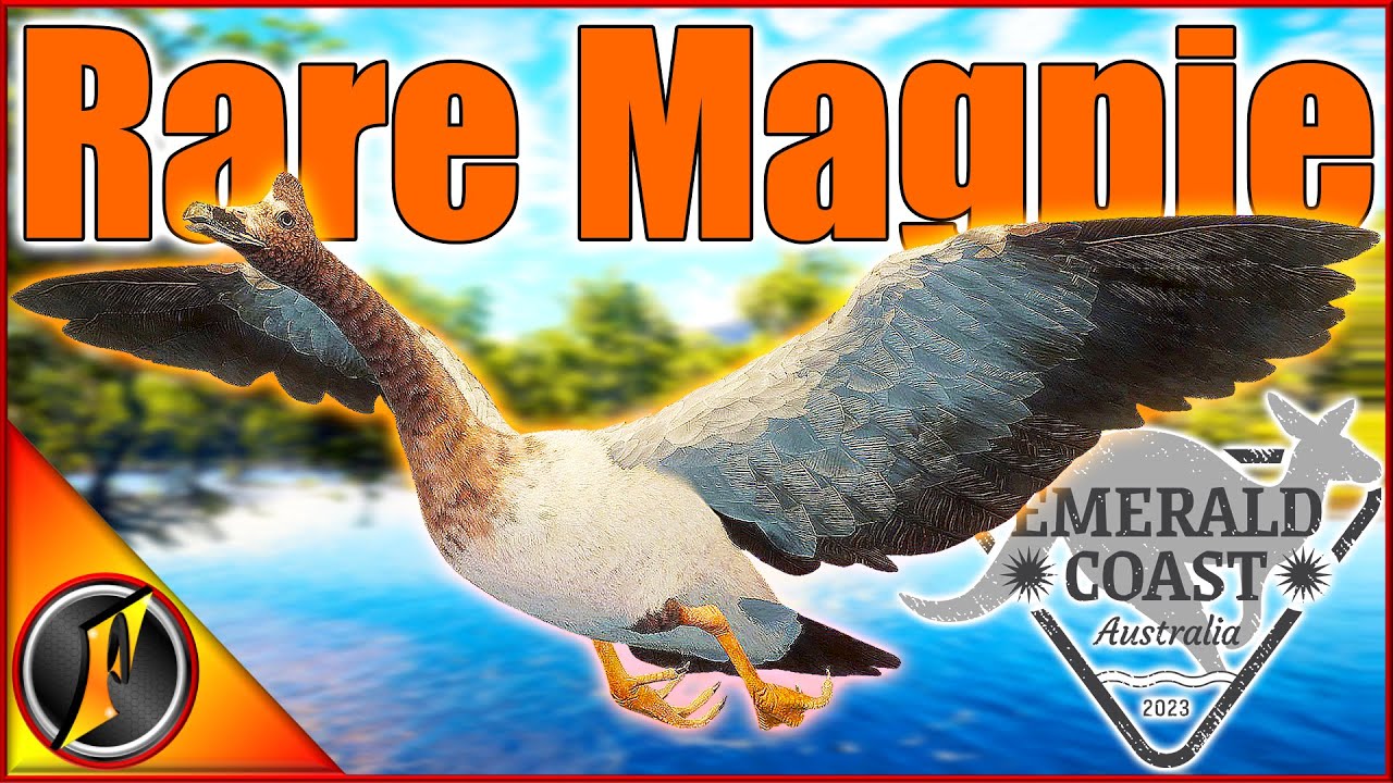 The COOLEST Rare Goose We've Ever Seen??? | Leucistic Magpie Goose!