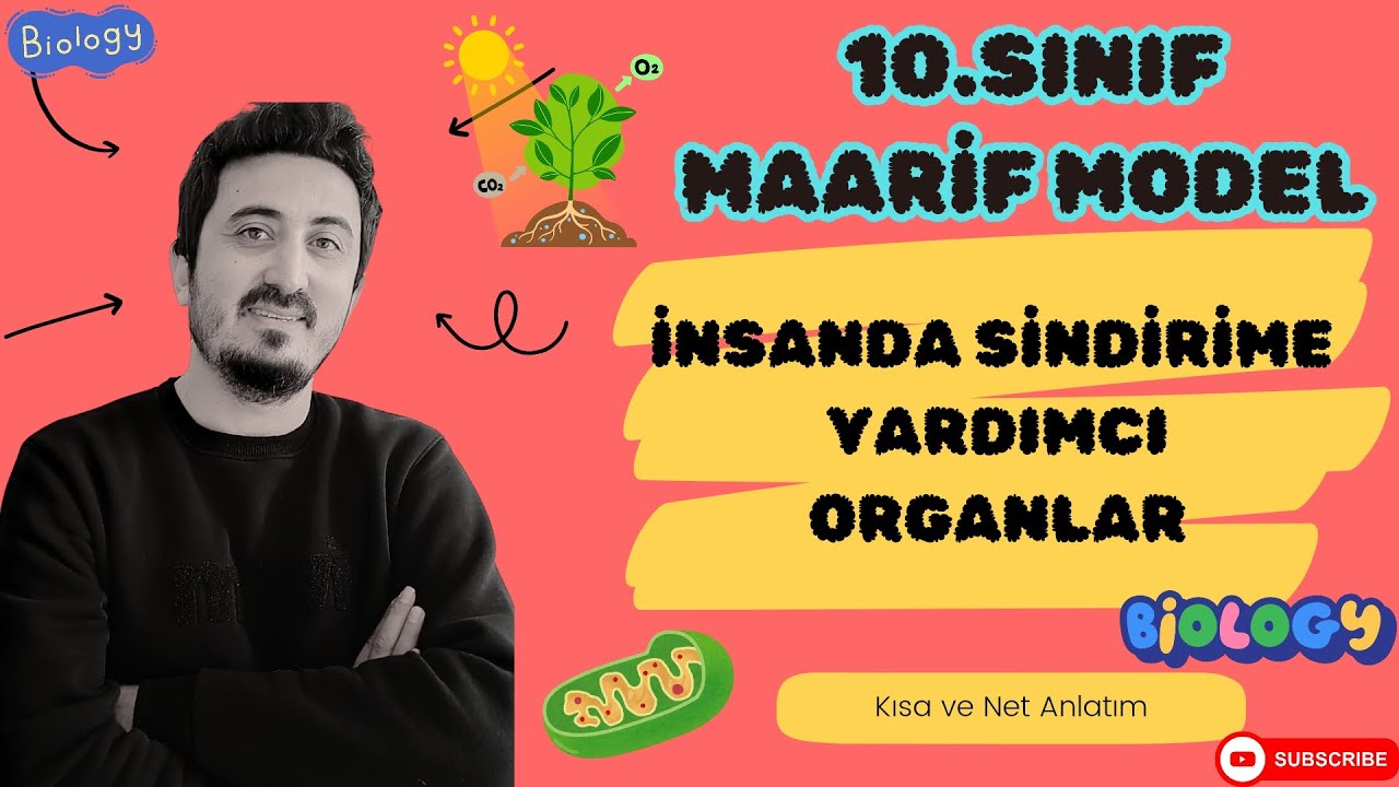 10.Sınıf Biyoloji SİNDİRİME YARDIMCI ORGANLAR (MAARİF MODEL)
