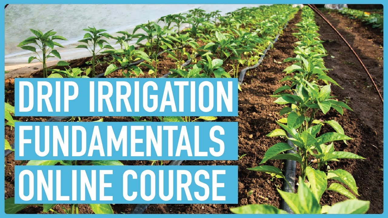 Drip Irrigation Fundamentals for Sustainable Farming - Introduction & Course Outline