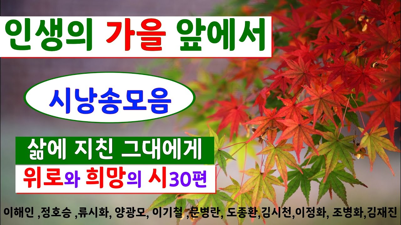 [시낭송모음] 가을시모음_위로와 희망의시 30편_인생의 가을앞에서 (낭송:봉경미/음악:손방원팬플룻)