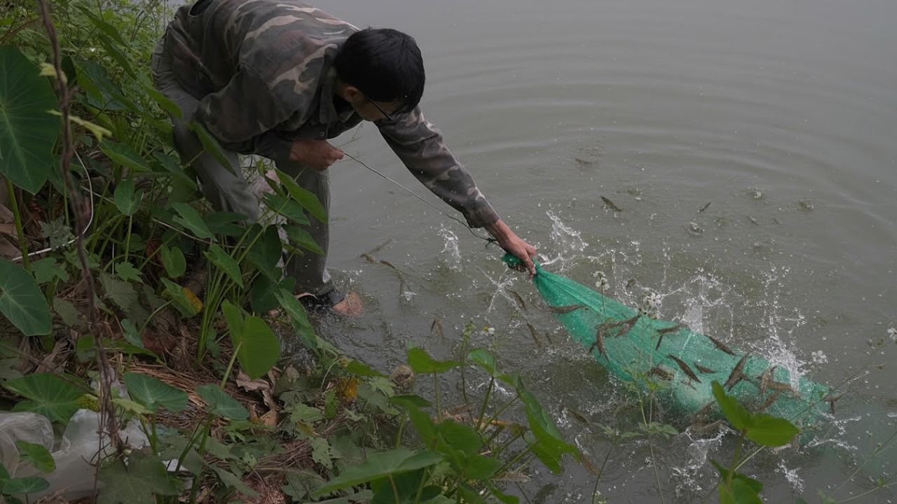 Секретный Метод Ловли Креветок | Традиционная Рыбалка в Сельской Жизни