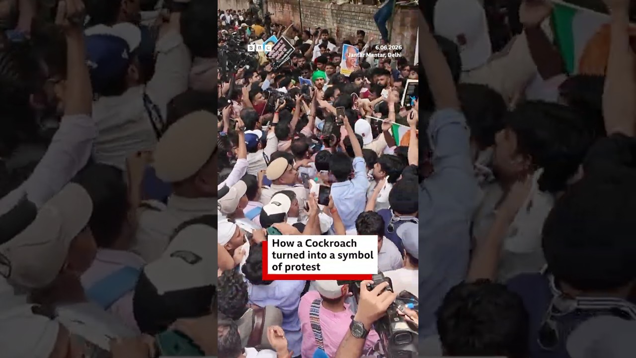 How Cockroach became the symbol of youth protest in Delhi? | BBC News India