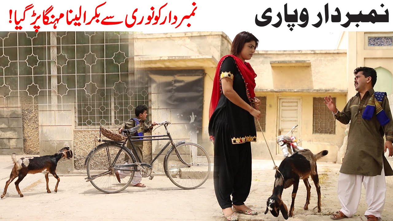 Net Wapari NumberDaar | Noori Top Funny |  New Punjabi Comedy Video 2023 |Chal Tv
