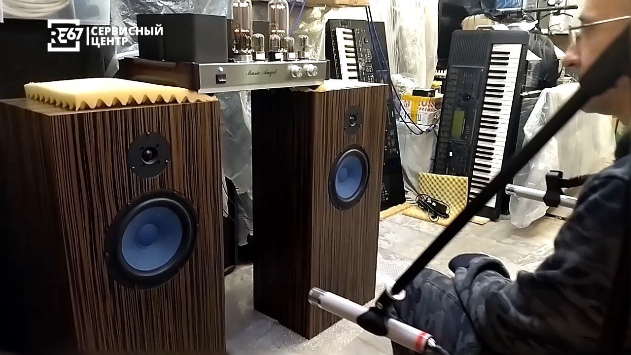 HI-END акустическая система AUDIO NOTE AN-E/Spe