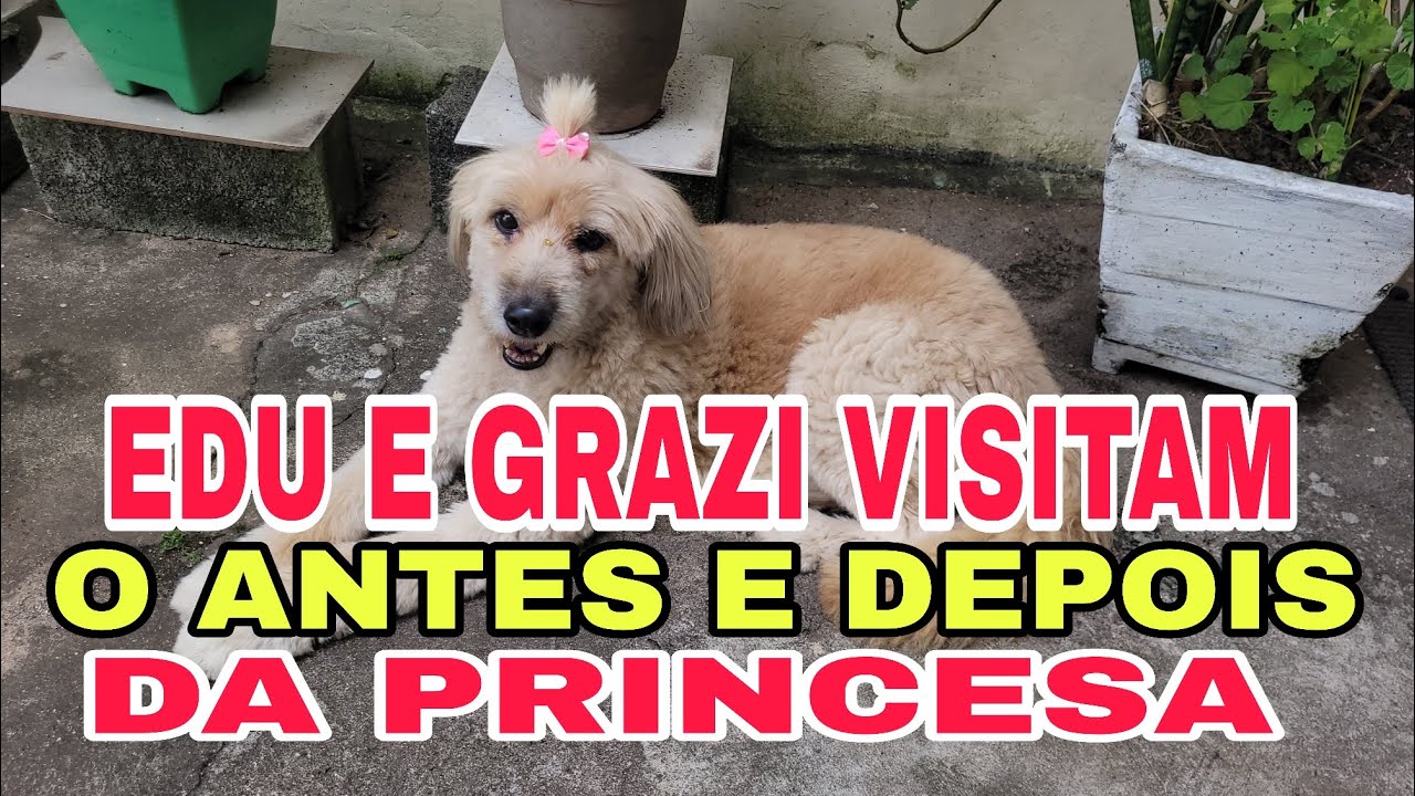 EDU E GRAZI VISITAM - PRINCESA - 9 ANOS DEPOIS (RESGATE E ADOÇÃO) COMO ELA ESTÁ HOJE?