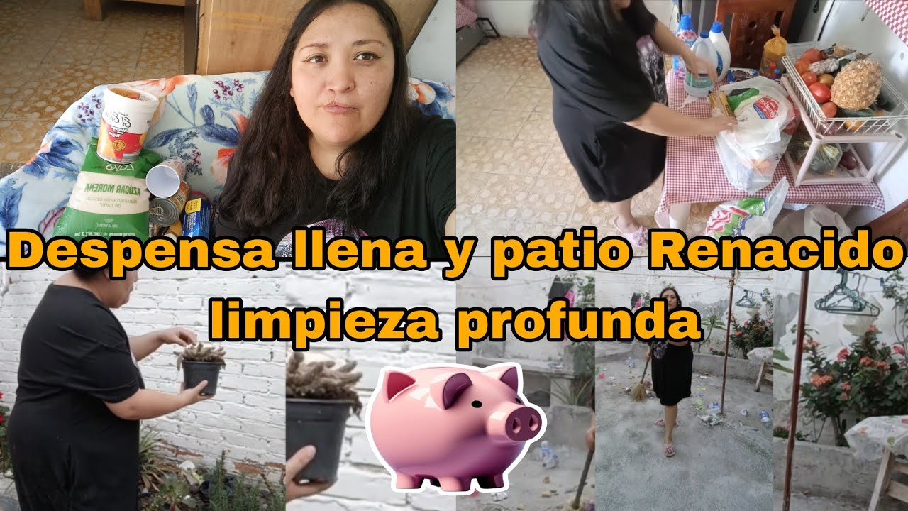 Despensa llena y patio renacido Limpieza Profunda en Acción #patiotrasero #patio #home 