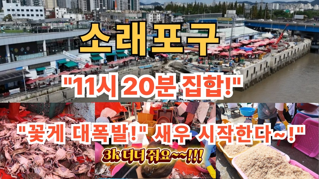 “소래포구 11시 20분! 꽃게·새우 대폭발 현장~!” 힐링여행