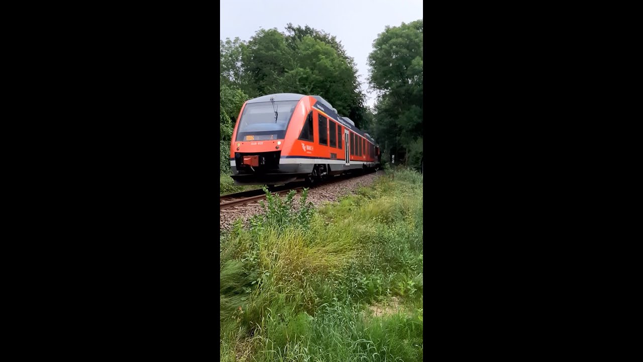 🚆 Triebwagen Lint DB 648 837-2 'Gro&szlig;enbrode' f&auml;hrt als RE 83 am B&uuml; Pl&ouml;n/Prinzeninsel in Ri L&uuml;neburg
