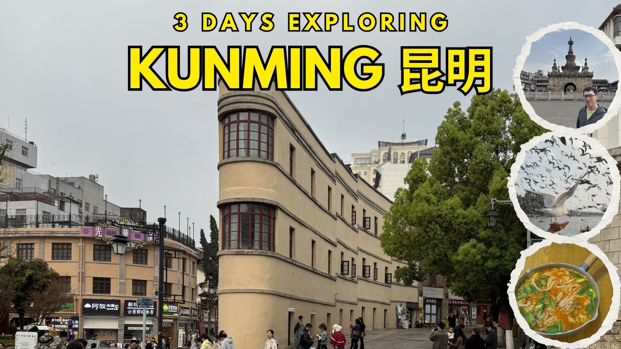 3 Days Exploring Kunming, Yunnan | Yunnan Food, Ancient Towns & Feeding Seagulls