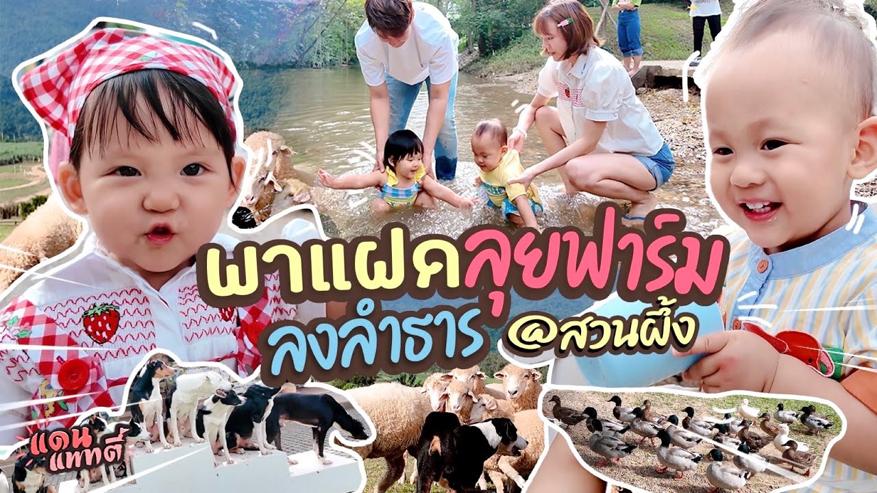 พาแฝดลุยฟาร์มลงลำธารที่สวนผึ้ง  | แดนแพทตี้ SS2 | EP.81 |