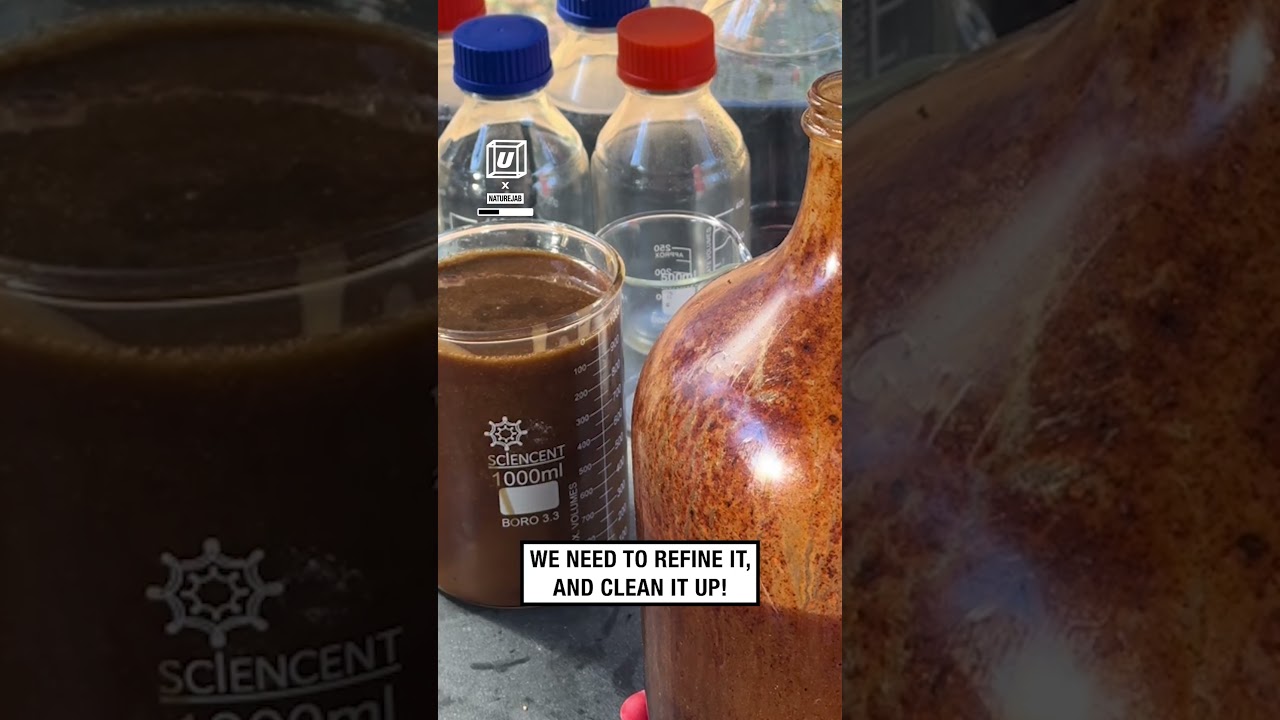How to turn plastic into fuel 😲⛽️              🎥: TikTok / naturejab