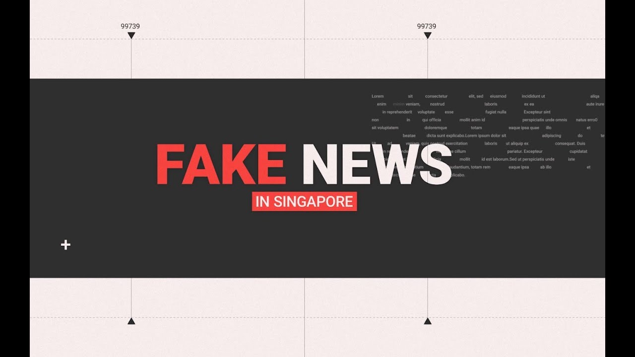 Fake News in Singapore