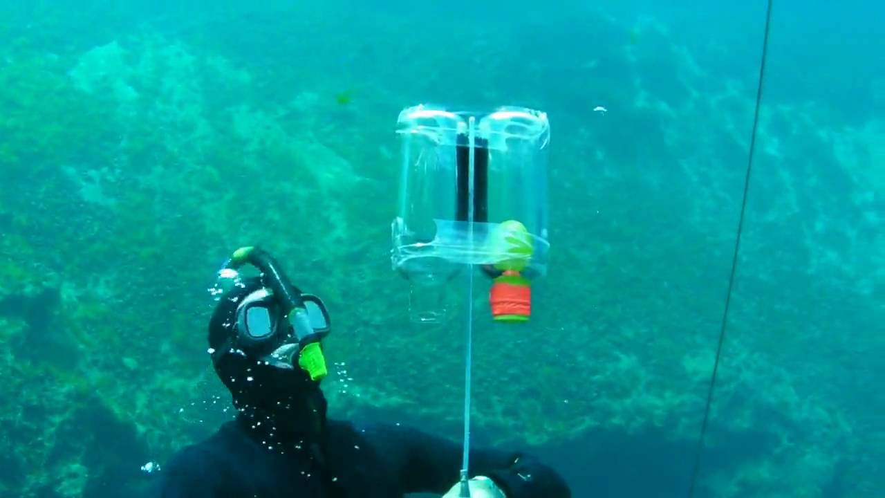 Boyle's Law Diving Science #2