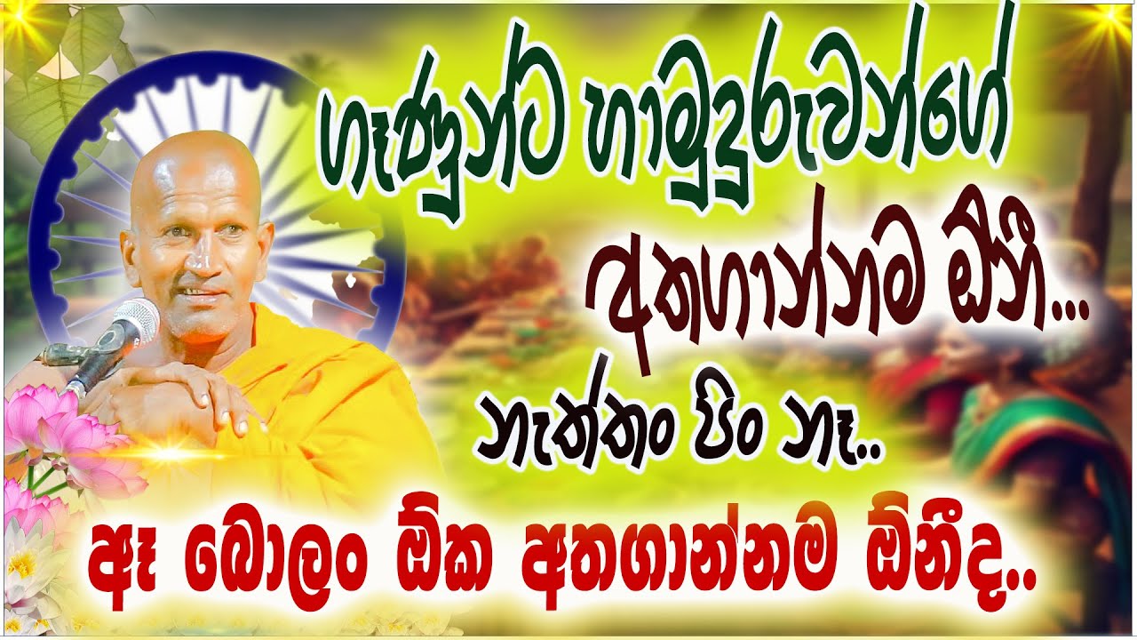 දානේ ගෙනාපු එකී හාමුදුරුවොත් අරං ගියා... | කාගම සිරිනන්ද හිමි  | Kagama Sirinanda Thero