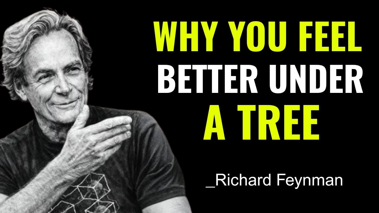 Why Tree Shade Feels Different &mdash; 5 Things Happening to Your Body