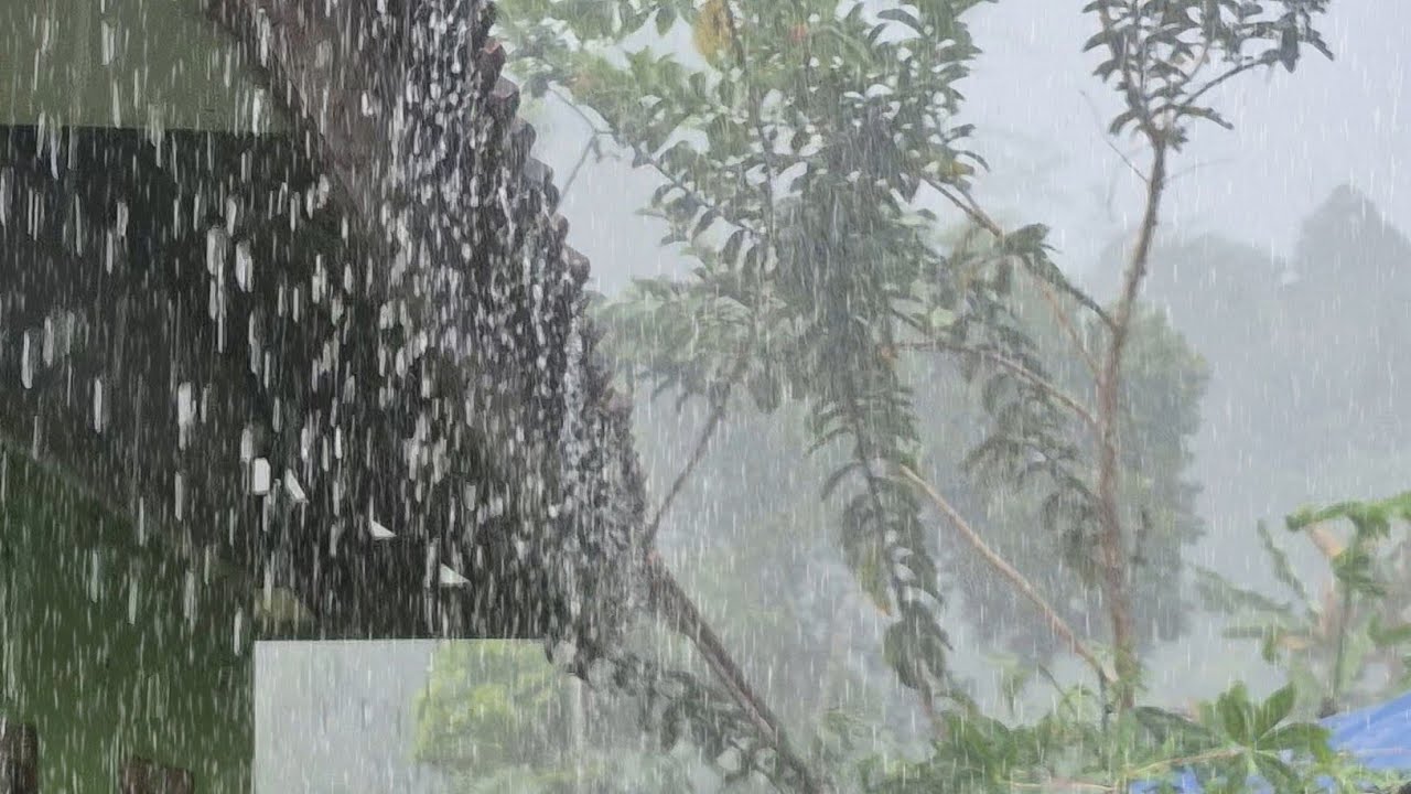 Nonstop Heavy Rain Sounds | Instant Deep Sleep, Insomnia Relief