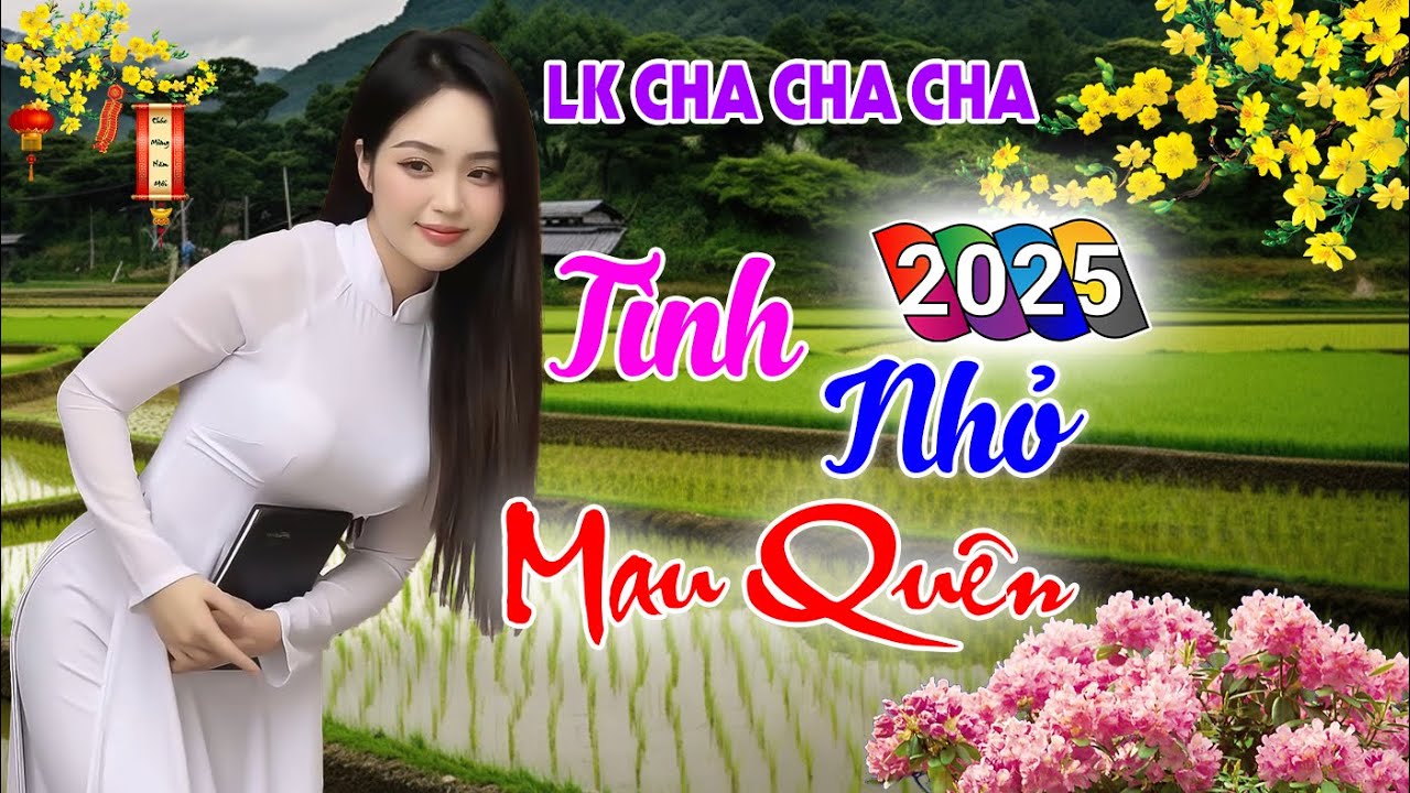 Tình Nhỏ Mau Quên, Bolero Cha Cha Toàn Bài Hay, Phối Mới Cực Chuẩn, Nghe Thử Ai Dè Nghiện Luôn