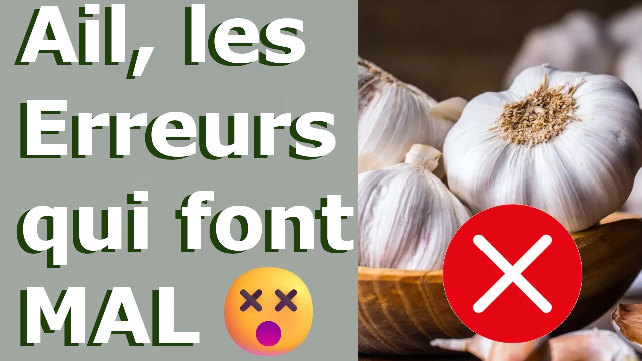Comment &Eacute;viter de Ruiner Votre R&eacute;colte d'Ail 🧄💡