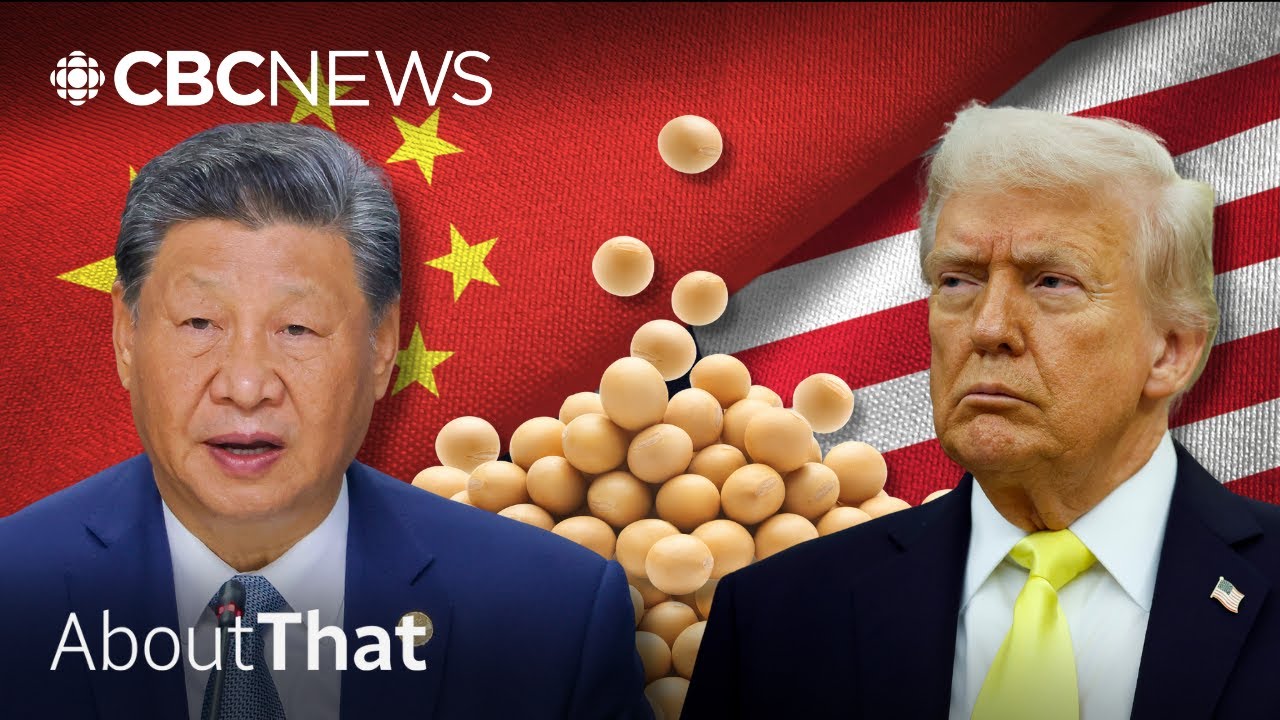 How China uses its buying power as a trade war weapon | About That