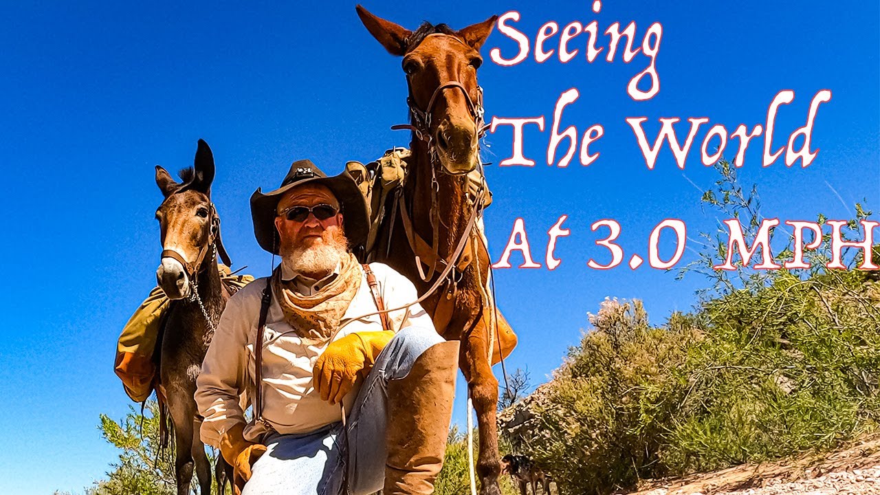 Solo Day Journey .. Into Desert Peaks WILDERNESS