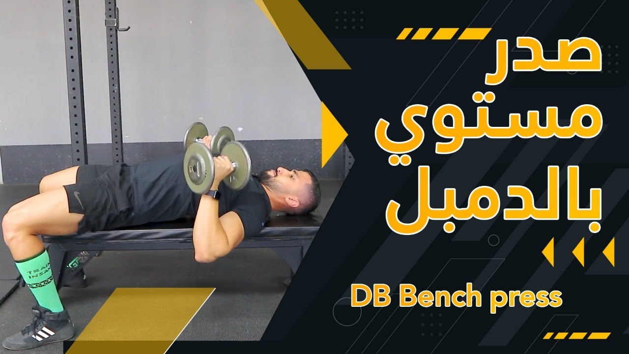 DB bench press | شرح تمرين الصدر المستوي بالدامبل | عبدالعزيز دلحي