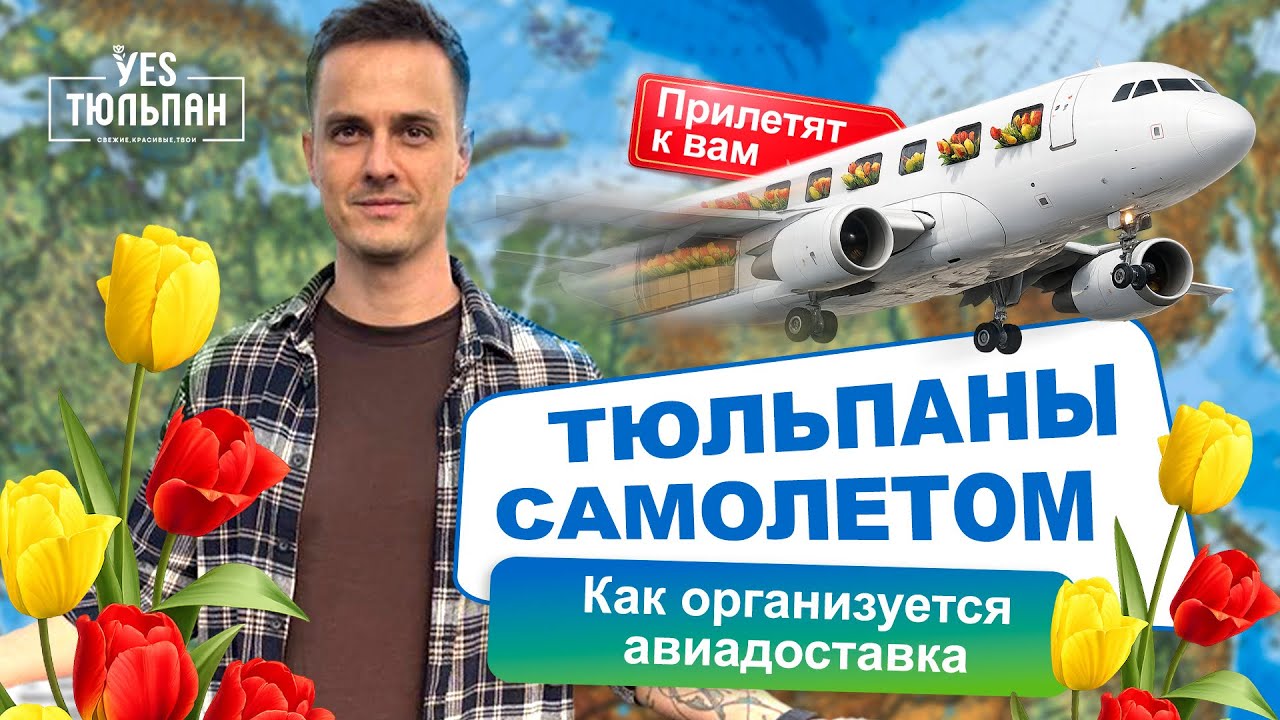 АВИА доставка тюльпанов 🌷