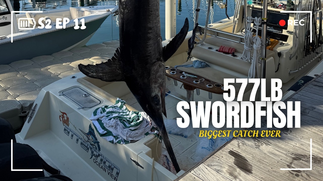 BIG Fish & Broken Boats | 577 LB SWORDFISH | Sailing Afterglow S2E11