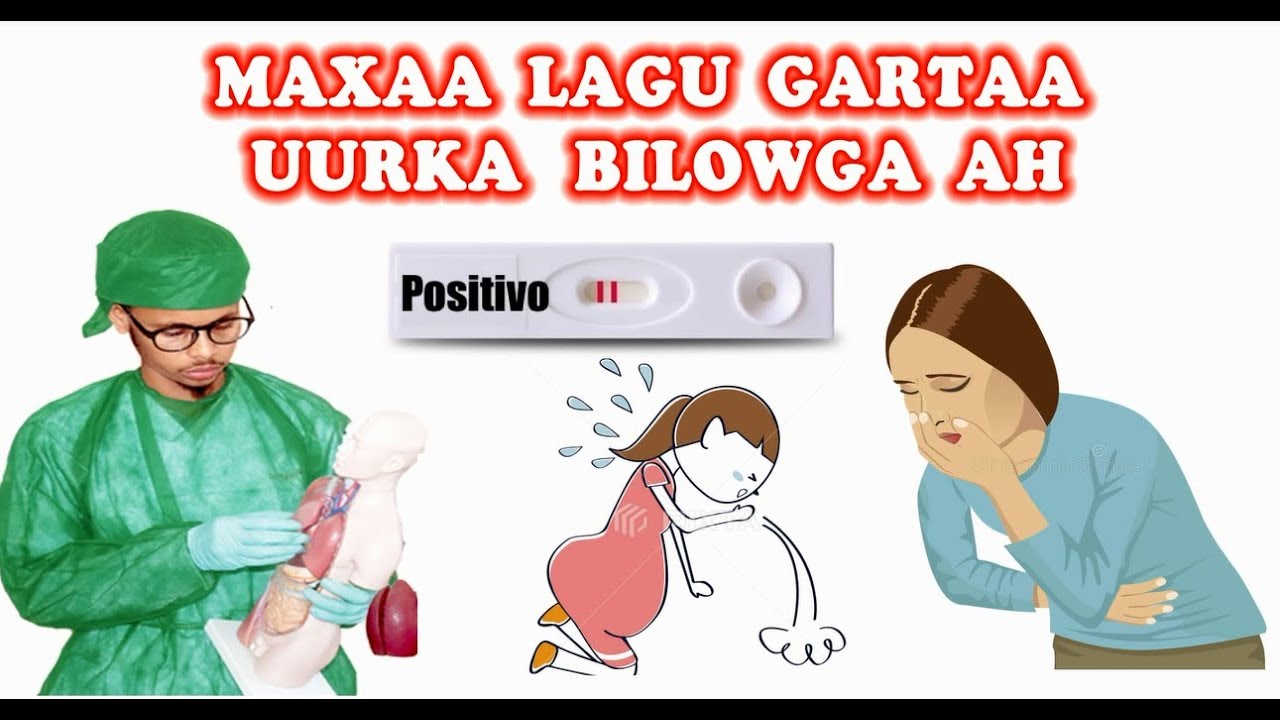 MAXAA KU GARAN KARTAA UURKA CUSUB (