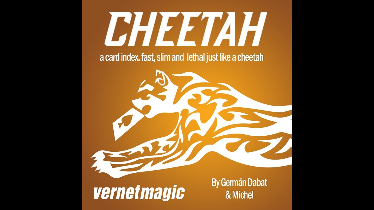 Cheetah by Germán Dabat & Michel