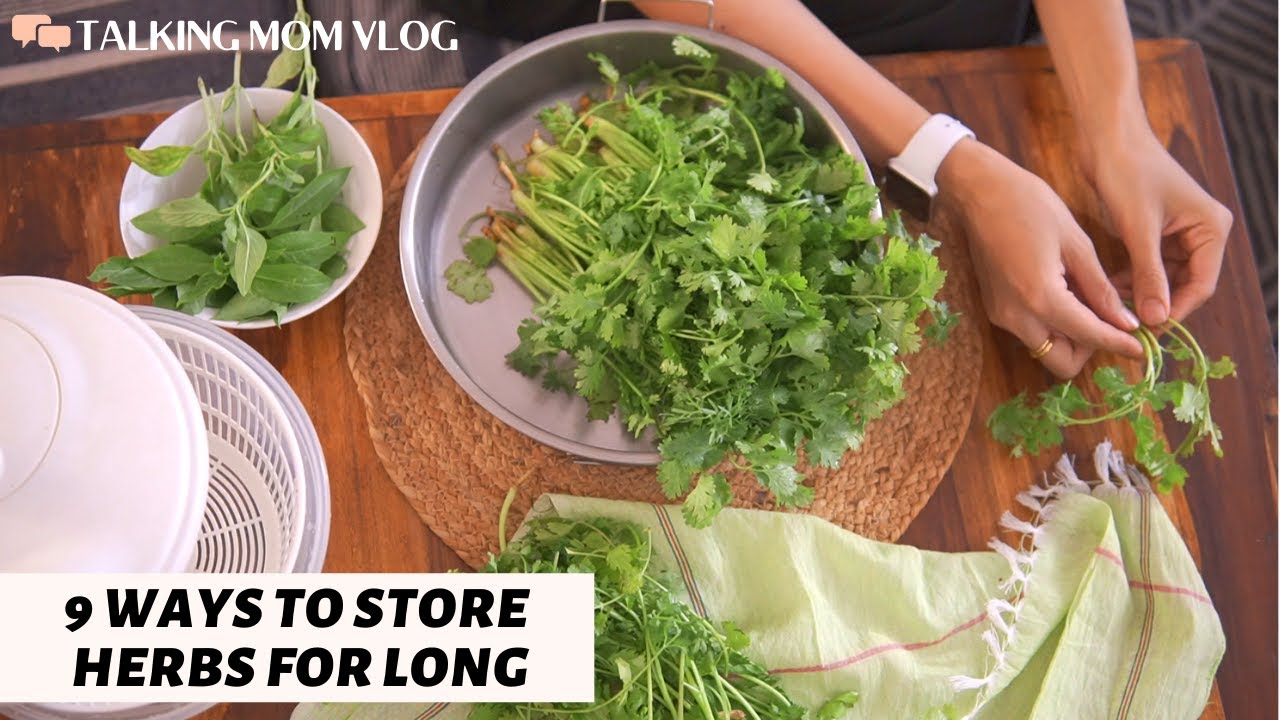 9 DIFFERENT WAYS TO STORE HERBS | Healthy Herbs Recipes |How to Store Coriander, Mint, Curry & Basil