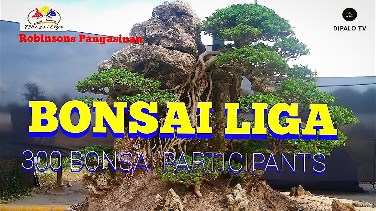 BONSAI LIGA 2022🇵🇭,#bonsai #liga #بونساي #exhibit @dipalotv5110   #Robinsons #bonsaiart