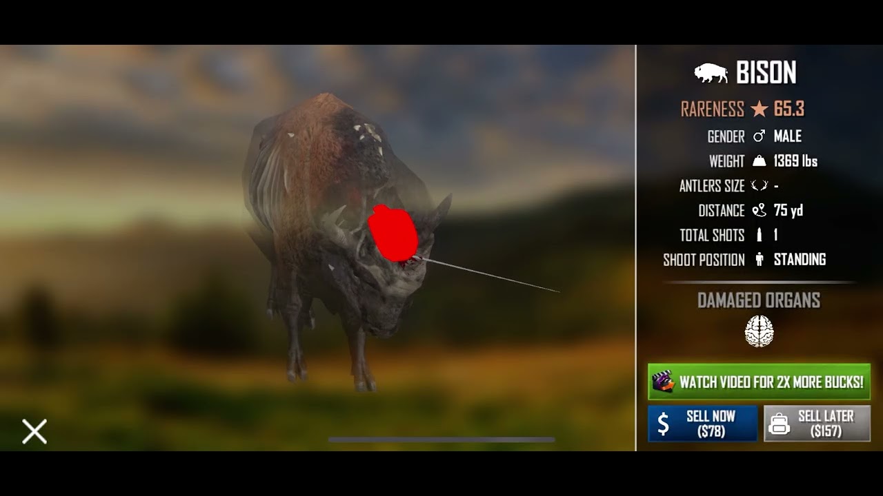 Hunting on American Marksman