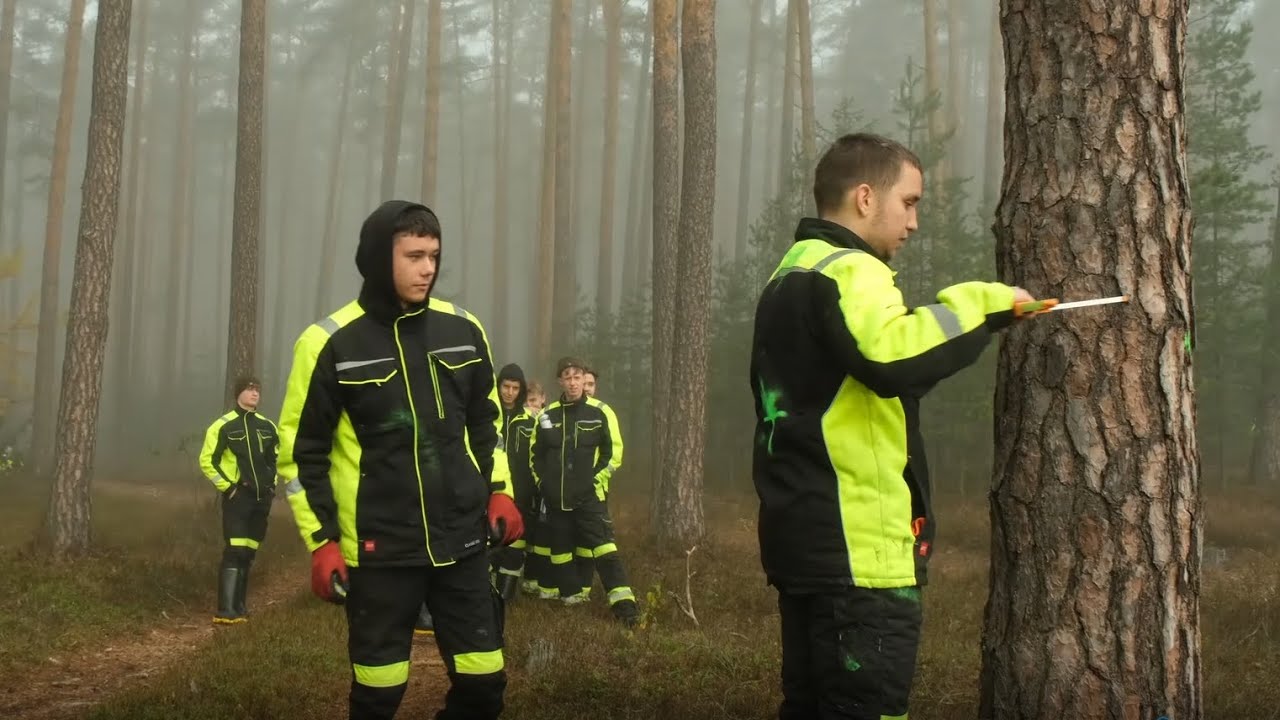 Praktyki uczniów Zespołu Szkół Leśnych w Biłgoraju