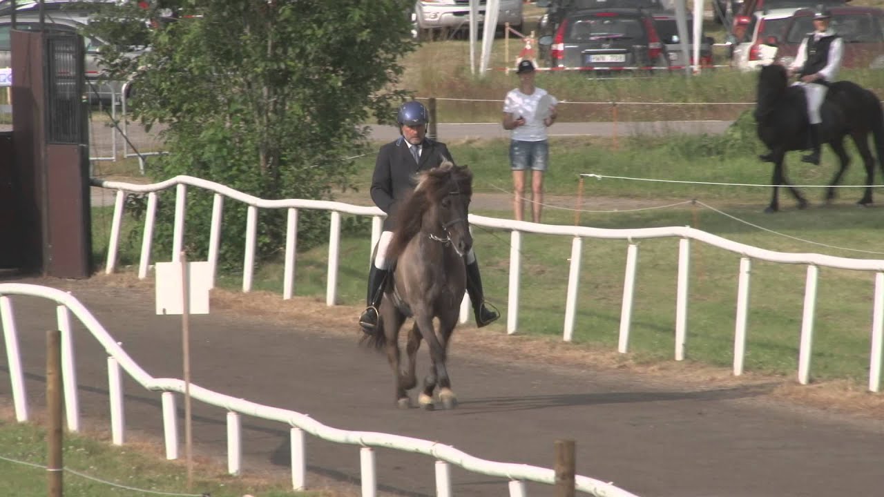 SM Islandshästar 2013 PP1 Pace Test, Sproti frá Sjávarborg, Sproti frá Sjávarbor